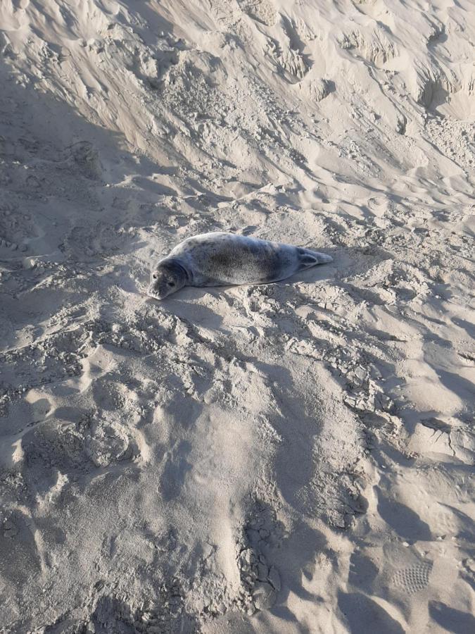 Blekkerke Villa Koksijde Luaran gambar